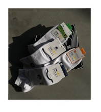 Smart-Socks